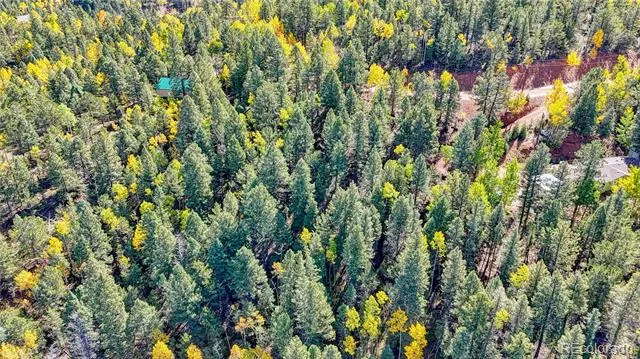 959 Calcite Drive Divide, CO 80814