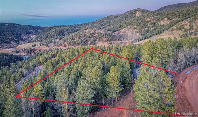 959 Calcite Drive Divide, CO 80814