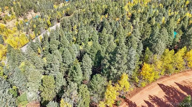 959 Calcite Drive Divide, CO 80814