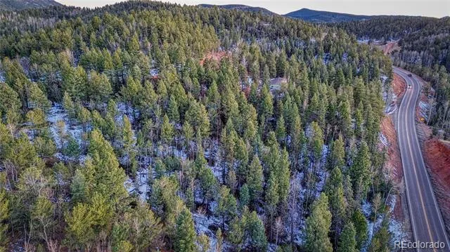 959 Calcite Drive Divide, CO 80814
