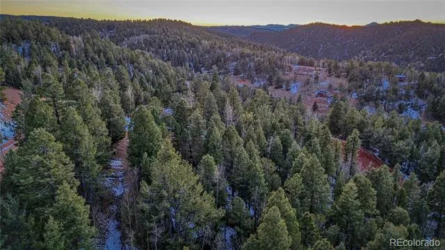 959 Calcite Drive Divide, CO 80814