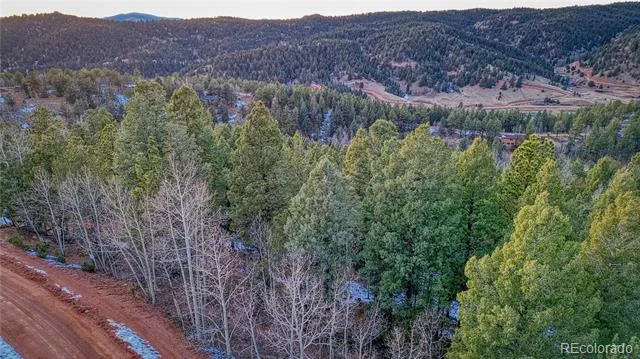 959 Calcite Drive Divide, CO 80814