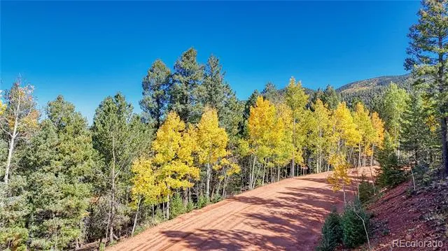 959 Calcite Drive Divide, CO 80814