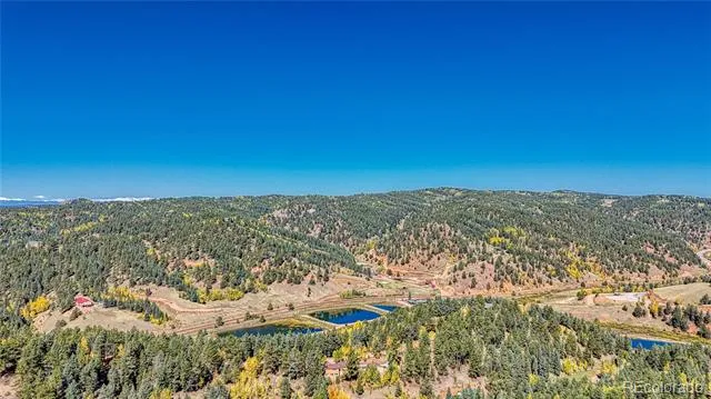 959 Calcite Drive Divide, CO 80814