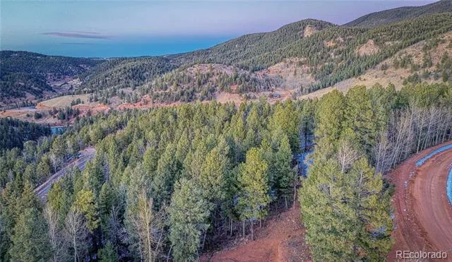 959 Calcite Drive Divide, CO 80814