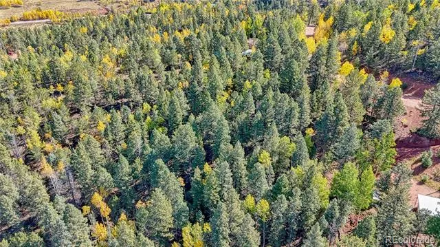 959 Calcite Drive Divide, CO 80814