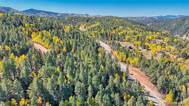 959 Calcite Drive Divide, CO 80814