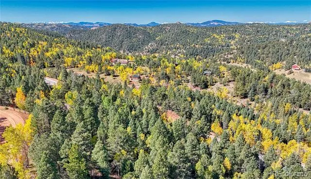 959 Calcite Drive Divide, CO 80814