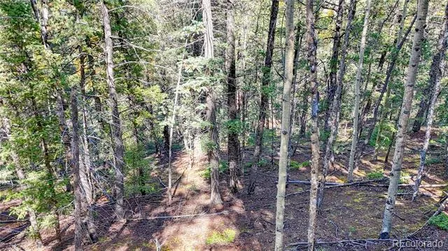959 Calcite Drive Divide, CO 80814