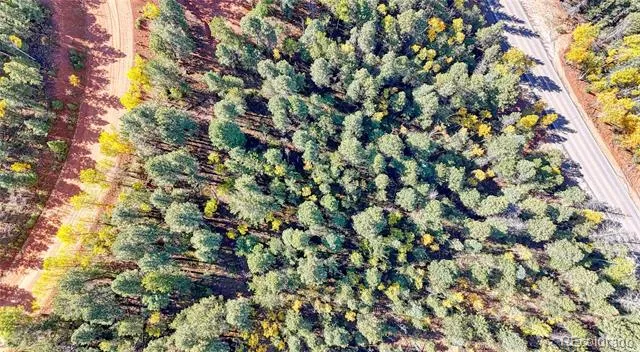 959 Calcite Drive Divide, CO 80814