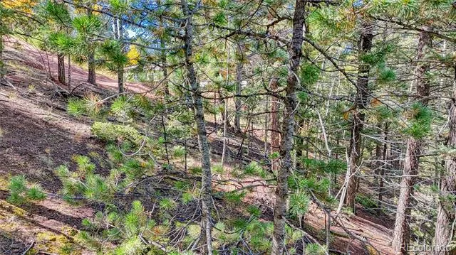 959 Calcite Drive Divide, CO 80814