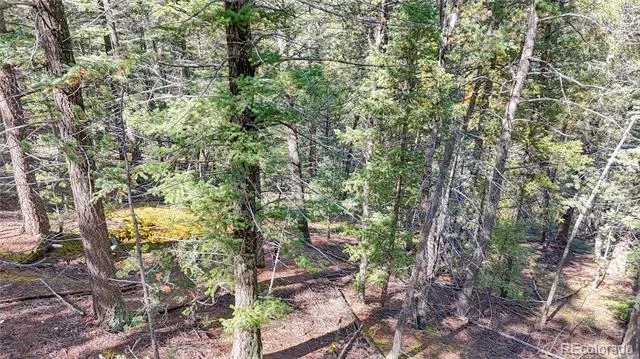 959 Calcite Drive Divide, CO 80814