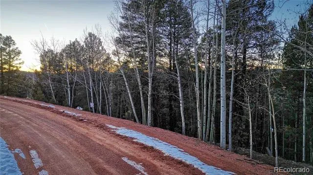 959 Calcite Drive Divide, CO 80814