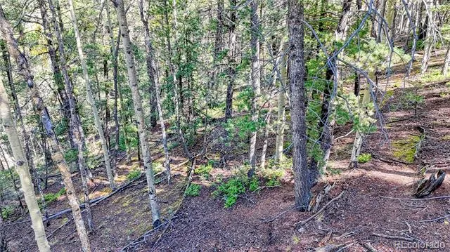 959 Calcite Drive Divide, CO 80814