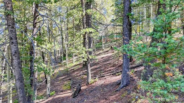 959 Calcite Drive Divide, CO 80814