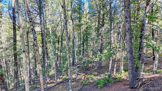 959 Calcite Drive Divide, CO 80814