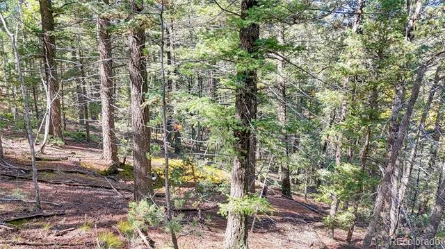 959 Calcite Drive Divide, CO 80814