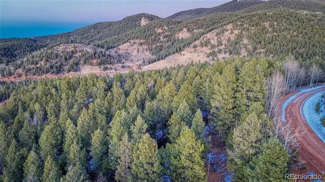 959 Calcite Drive Divide, CO 80814