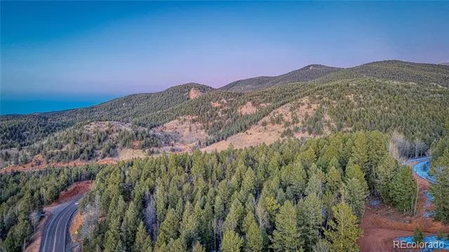 959 Calcite Drive Divide, CO 80814
