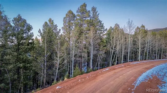 959 Calcite Drive Divide, CO 80814
