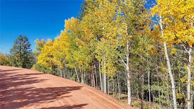 959 Calcite Drive Divide, CO 80814