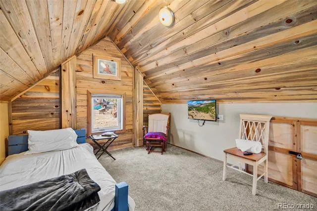 2491 Cr-12 Alma, CO 80420