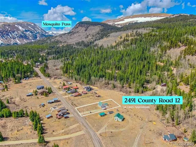 2491 Cr-12 Alma, CO 80420