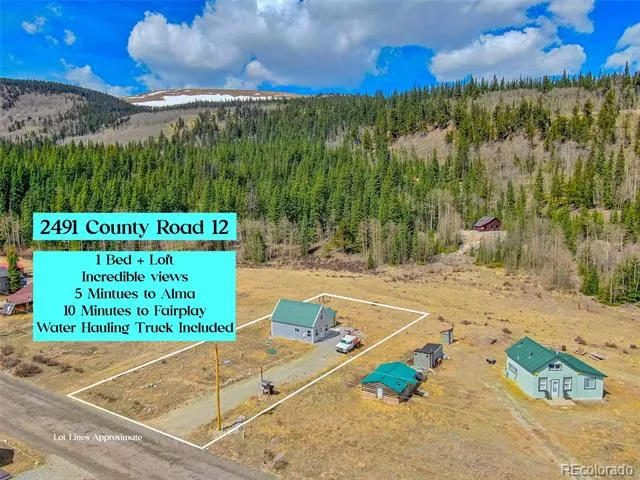 2491 Cr-12 Alma, CO 80420