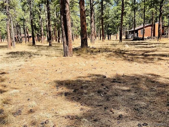 BLK2 LOT 7 Weston, CO 81091