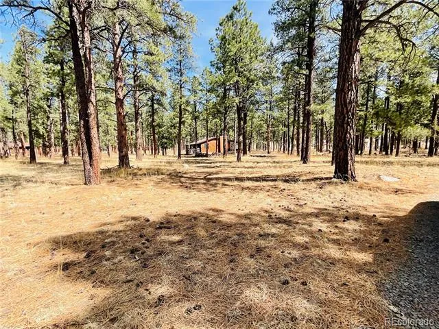 BLK2 LOT 7 Weston, CO 81091
