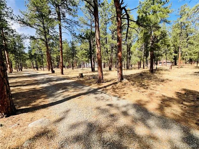BLK2 LOT 7 Weston, CO 81091