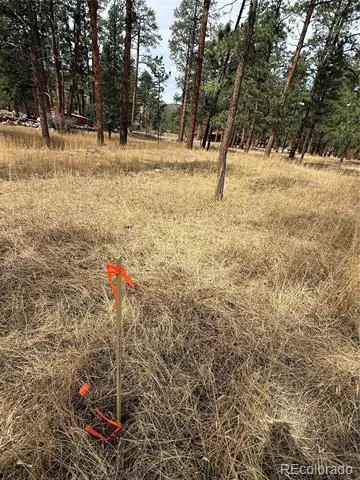 BLK2 LOT 7 Weston, CO 81091