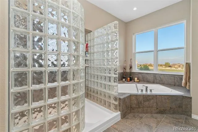 881 Kirby Court Watkins, CO 80137