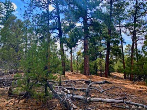 Costilla Place Mosca, CO 81146