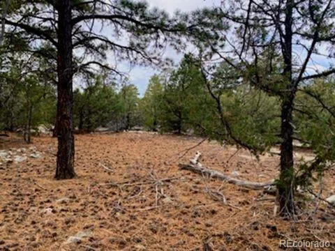 Costilla Place Mosca, CO 81146