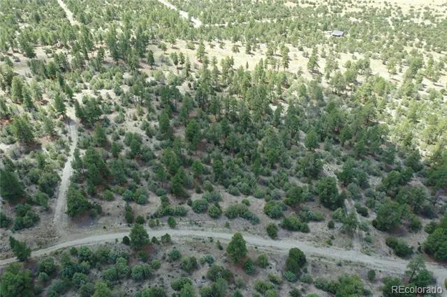 Costilla Place Mosca, CO 81146