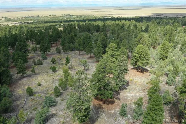 Costilla Place Mosca, CO 81146
