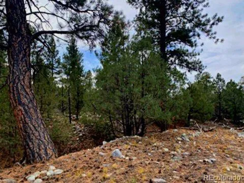 Costilla Place Mosca, CO 81146