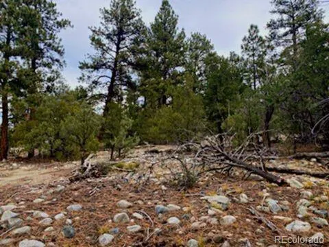 Costilla Place Mosca, CO 81146