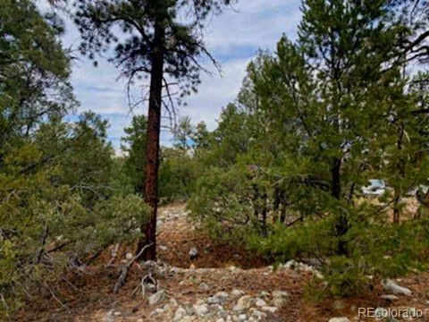 Costilla Place Mosca, CO 81146