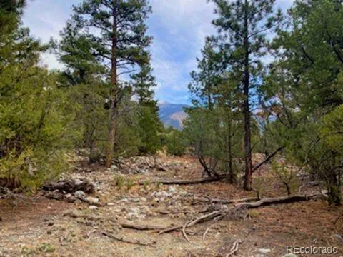 Costilla Place Mosca, CO 81146