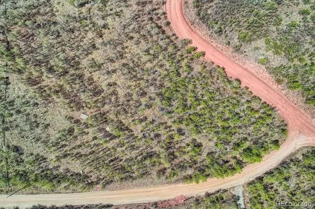 612 Iron Mountain Road Fairplay, CO 80440