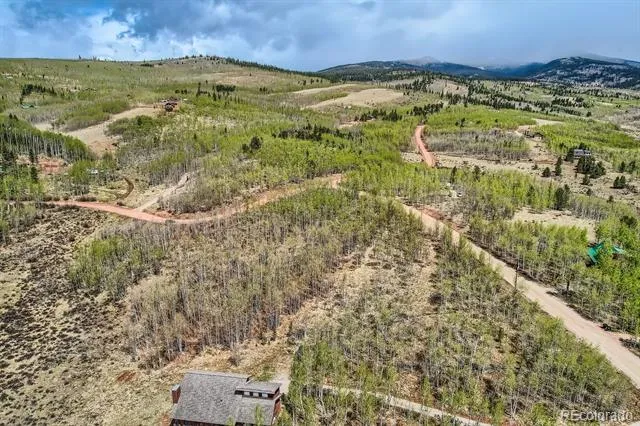 612 Iron Mountain Road Fairplay, CO 80440