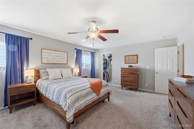 6205 Wescroft Avenue Castle Rock, CO 80104
