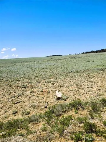 642 Mesa Road Hartsel, CO 80449