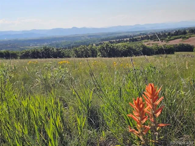 2937 Keep Drive Sedalia, CO 80135