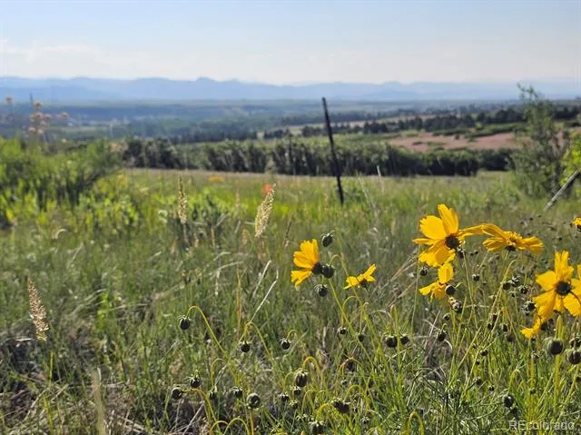 2937 Keep Drive Sedalia, CO 80135