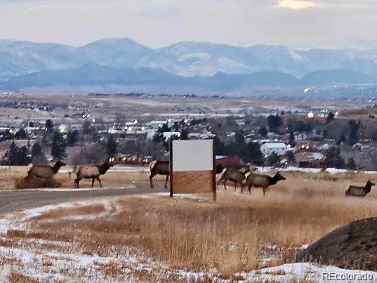 2937 Keep Drive Sedalia, CO 80135