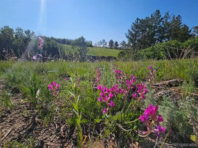 2937 Keep Drive Sedalia, CO 80135