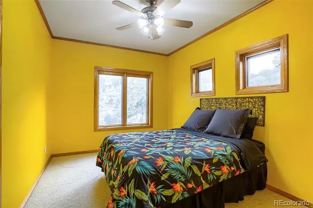 15479 Ouray Road Pine, CO 80470